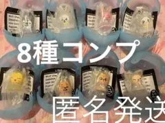 スキズ skzoo ガチャ　ポップアップ　めじるしアクセサリー コンプリート