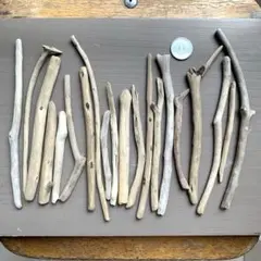 Item thumbnail for item d2868c79-22b9-43d5-8895-7df29b70c13b