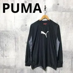 PUMA プーマ メンズ ピステ トレーニングトップ