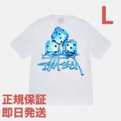 ❗️期間限定SALE❗️ステューシー メルツ Tシャツ ホワイトS - メルカリ