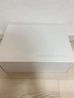 CHARLES & KEITH メリージェーン 厚底シューズ Burgundyのサムネイル