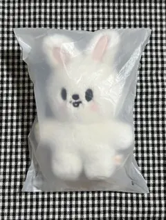 SKZOO PLUSH VOICE ver. Jiniret ジニレット - メルカリ
