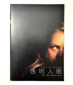 ブロブ／映画チラシ)ホラー MANIAX!フライヤー希少レア珍品お宝発見