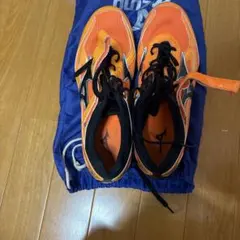 MIZUNO CITIUS WING2 28センチのサムネイル