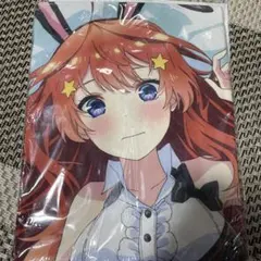 五等分の花嫁　バニーガール　グッドスマイルフィルム　抱き枕カバー　中野五月