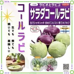 しょこら様 リクエスト 2点 まとめ商品