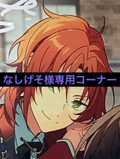 なしげそ様専用