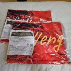 名古屋グランパス新シーズン開幕記念タオルマフラー2つセット　非売品