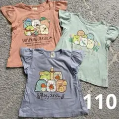 すみっコぐらし Tシャツ 3枚セット