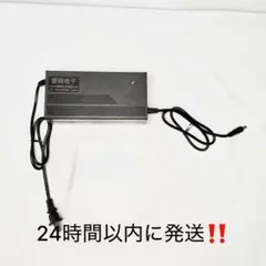 SUNSTAR ENGINEERING リチウムイオンバッテリー充電器 29V - メルカリ