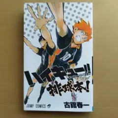 ハイキュー！！　排球本！