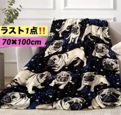 セール★お得★ 新品　パグ犬柄　ブランケット
