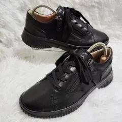 Item thumbnail for item a4d5f1ca-fd71-49c1-bf94-71a5062ff8e1