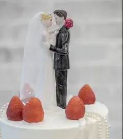 新郎新婦 ケーキトッパー 陶器製 約16.5cm