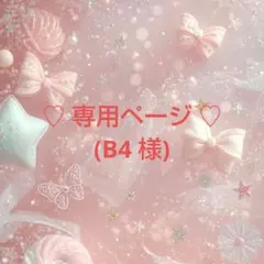 専用ページ (B4 様)