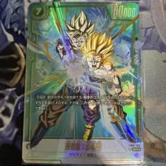 孫悟飯:少年期　パラレル