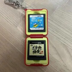 DS ソフト2つセット