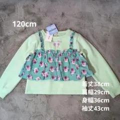 新品タグ付き Disney Frozen 長袖カットソー 120cm