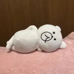 パリティくまスカラー scolar parity 福袋ぬいぐるみ