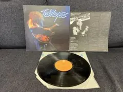 Ted Nugent 1975年 LP 洋楽　レコード　美盤 ECPO-92