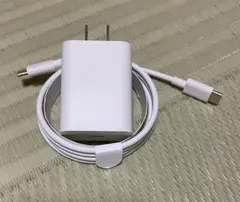 Type-cケーブルとアダプター②