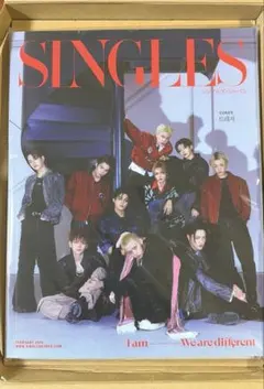 新品未開封 SINGLES JAPAN 2026 2月号 TREASURE