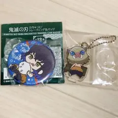 鬼滅の刃 伊之助　缶バッジ　ここみえ