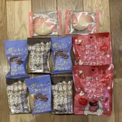 世にもおいしいチョコブラウニー★いろいろ10点セット