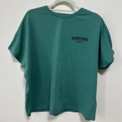 FAVORI ファヴォリ バックプリントTシャツ グリーン Mサイズ ゼブラ柄のサムネイル