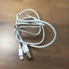 Apple Lightning to USBケーブル