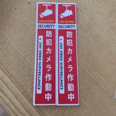 Item thumbnail for item 13e5202d-0501-4408-b164-8c63f77dcc0a