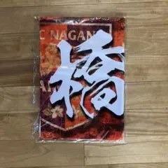 Item thumbnail for item 2bbb6efe-0941-4ecf-baed-6c48945e75a4