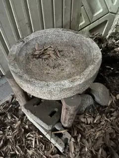 2025年最新】石臼 メダカの人気アイテム - メルカリ