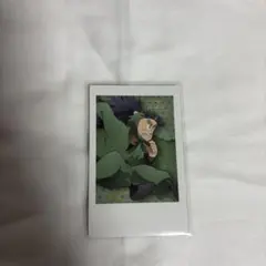 忍たま乱太郎 体験展 ポラショットコレクション 七松小平太