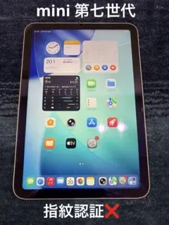 iPad mini 第7世代 パープル 128GB