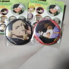 WIND BREAKER ウィンドブレイカー 蘇枋隼飛 中村幹路