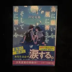 海に願いを風に祈りをそして君に誓いた