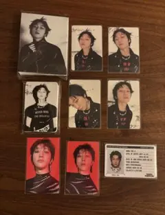 SEVENTEEN DAREDEVIL バインダートレカ ID セット THE8