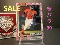 GaruGarushia様 リクエスト 2点 まとめ商品
