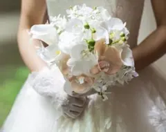 Item thumbnail for item 27c2e598-9dc3-4ed1-808f-676d234992f9