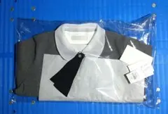 Item thumbnail for item e3eadc8c-9af6-48bd-bc81-17faf4583246