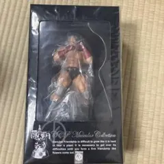 CCP Muscular Collection テリーマン 黒パンツVer.