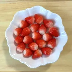 rinka様 リクエスト 2点 まとめ商品