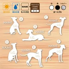 Item thumbnail for item aeb63291-45cc-44a3-8d46-adcbb09bec59