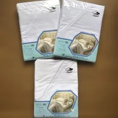 Item thumbnail for item f9d77ca3-731b-4ef0-a04e-92e79039e21f