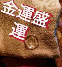 Item thumbnail for item 79f5d358-b52b-4b4b-be6f-3159c0002a53