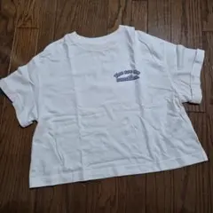 Item thumbnail for item 81db0238-5b4e-40c3-bee0-4a5afc2ab4cb