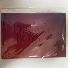 【新品未開封】DREAM BOYS 2022 パンフレット 田中樹 菊池風磨