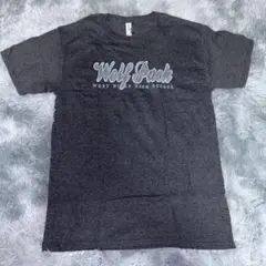 Item thumbnail for item d4d6beba-35a7-4b2c-8b9f-1836d557689c