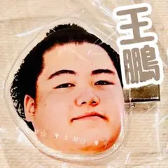 相撲ガチャ【王鵬】フェイスヘアピン